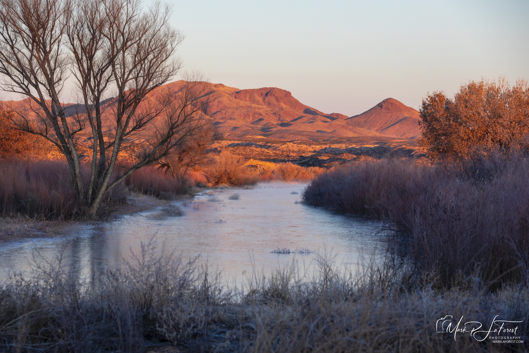 Sunrise, Bosque del Apache, New Mexico
